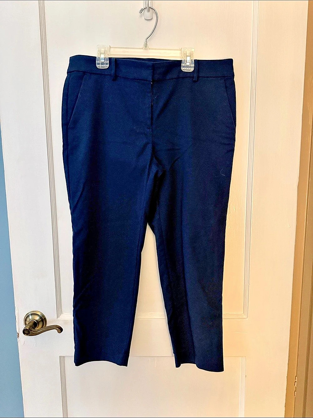 LOFT The Riviera Slim Ankle Pants in Blue Like New